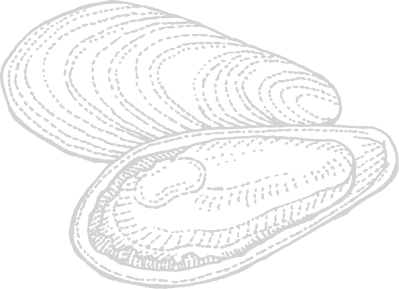 病気で食が細くなっても、自然と食欲を取り戻せる食材を