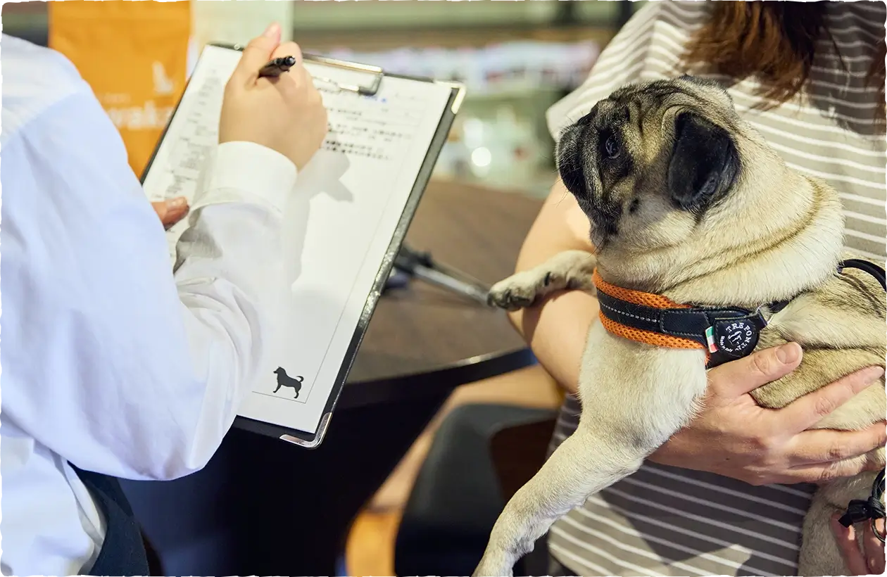 薬膳ペット栄養相談士