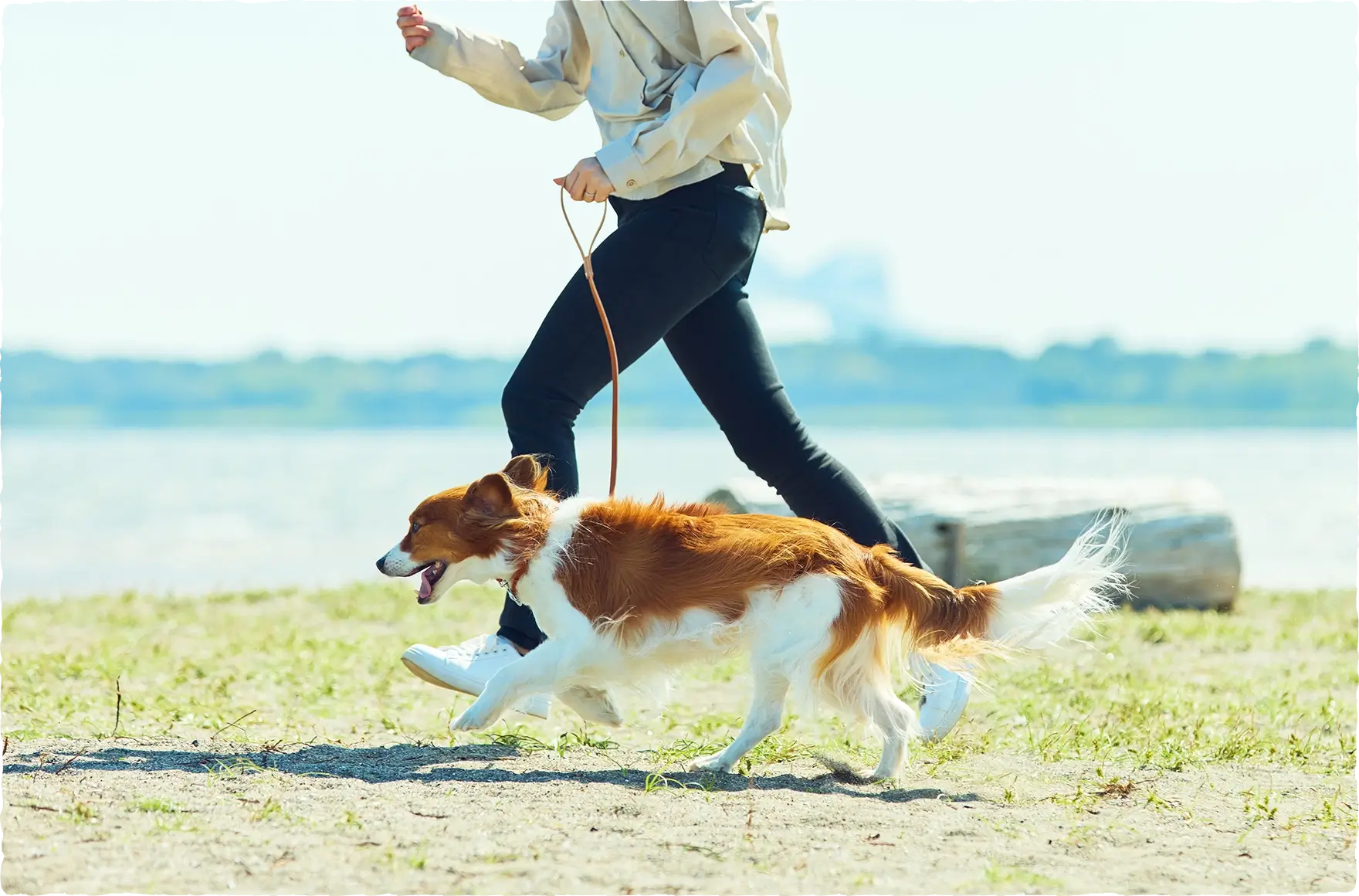 【sowaka】で、また、君と一緒に走れる日が来るなんて、思ってもみなかった。