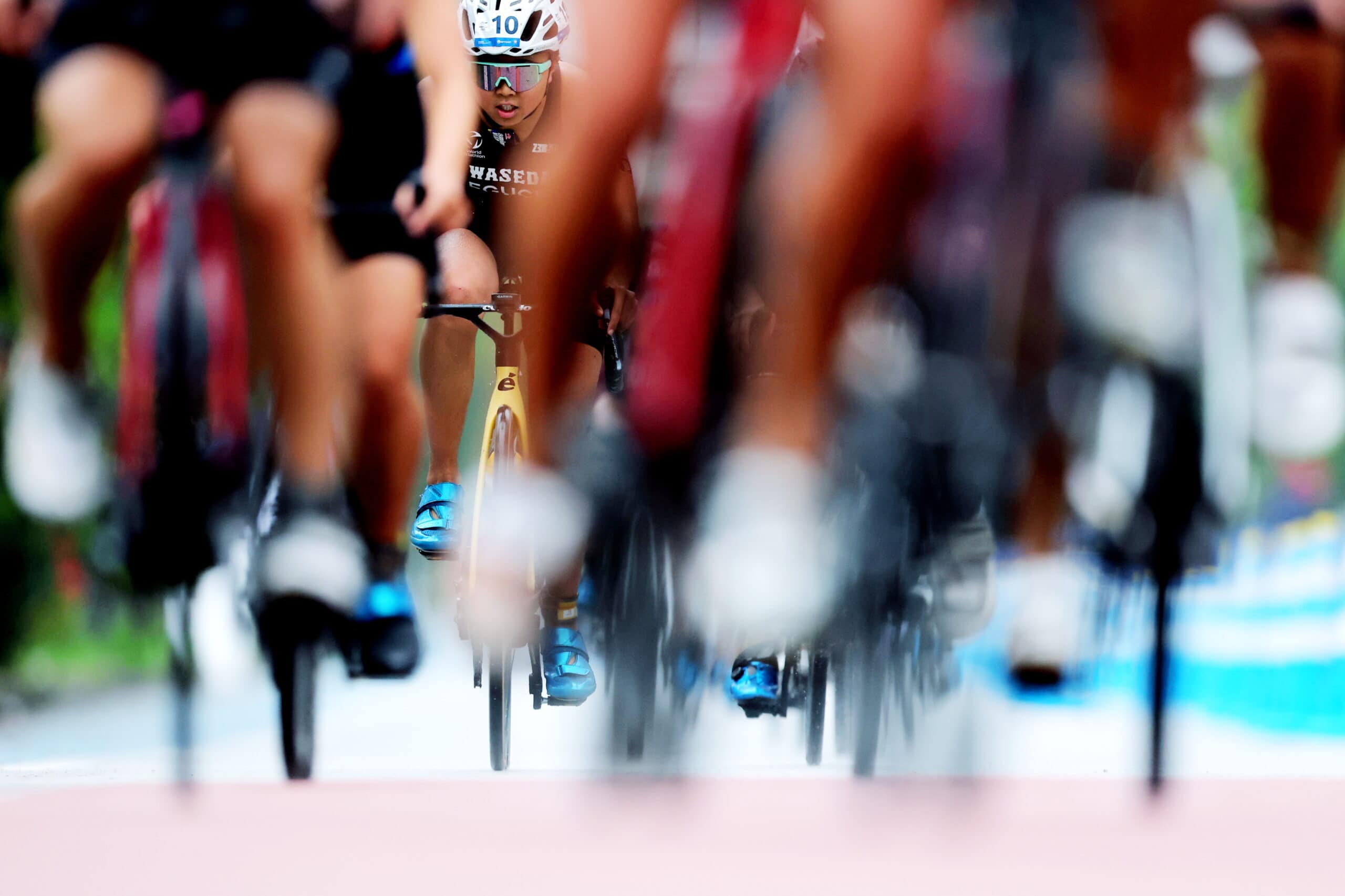 2025 トライアスロン 日本選手権 女子