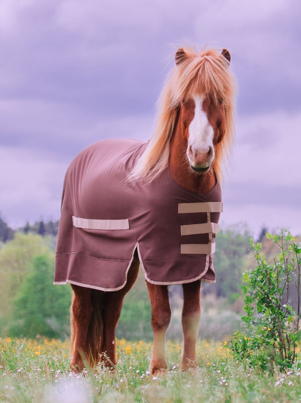 Regendecke Softshell / Walnuss|Karamell