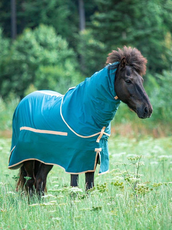 Islandpferd in Sportfreund Studios Ekzemdecke, robust und angenehm zu tragen.