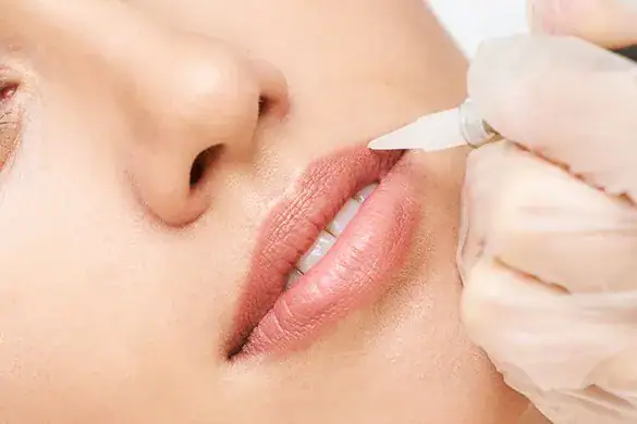 Aquarell Lips Tuttlingen