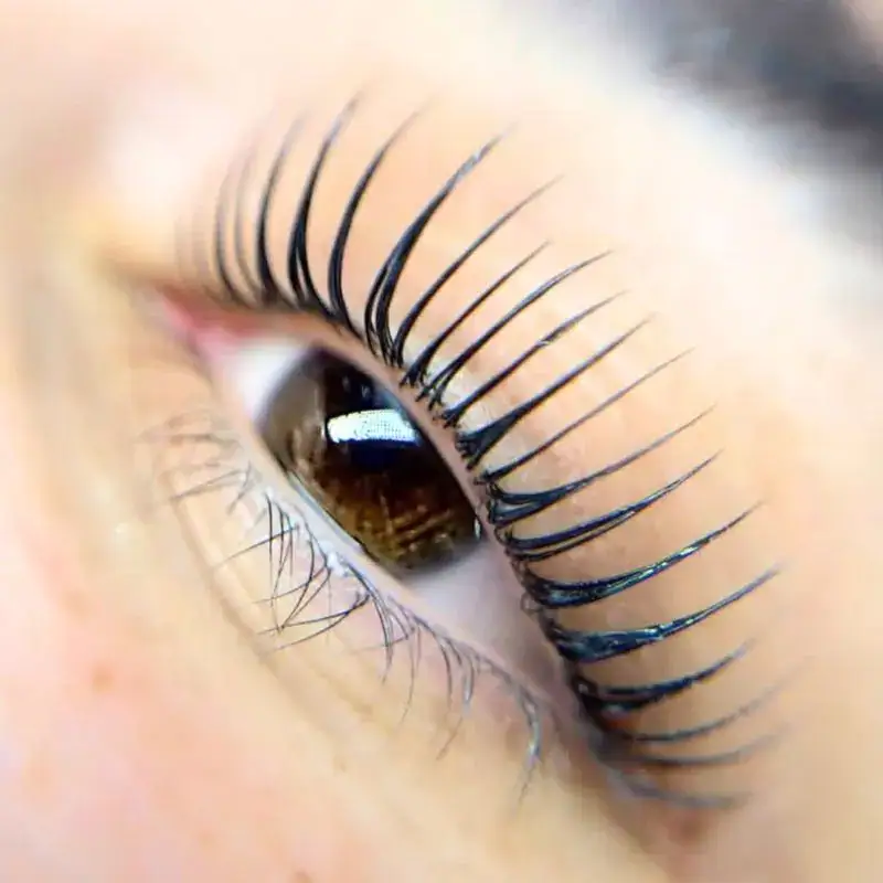 Korean Premium Lashlifting Keratin Versiegelung Tuttlingen