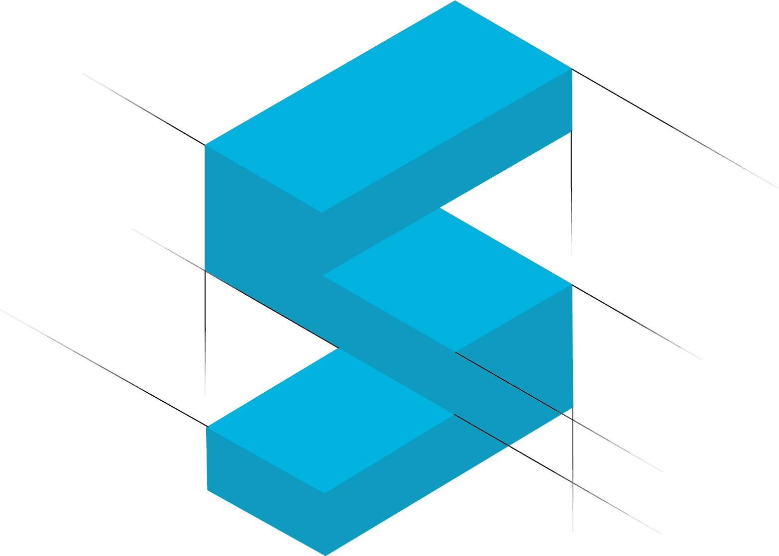 Schwarz Plastic Solutions GmbH