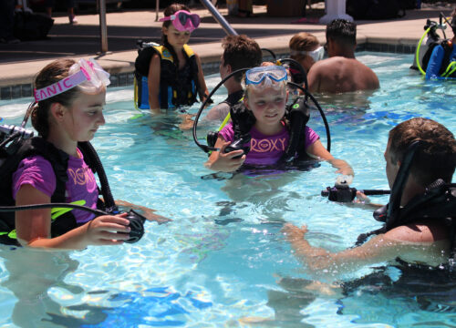 PADI Discover Scuba Diving Cancun & Riviera Maya