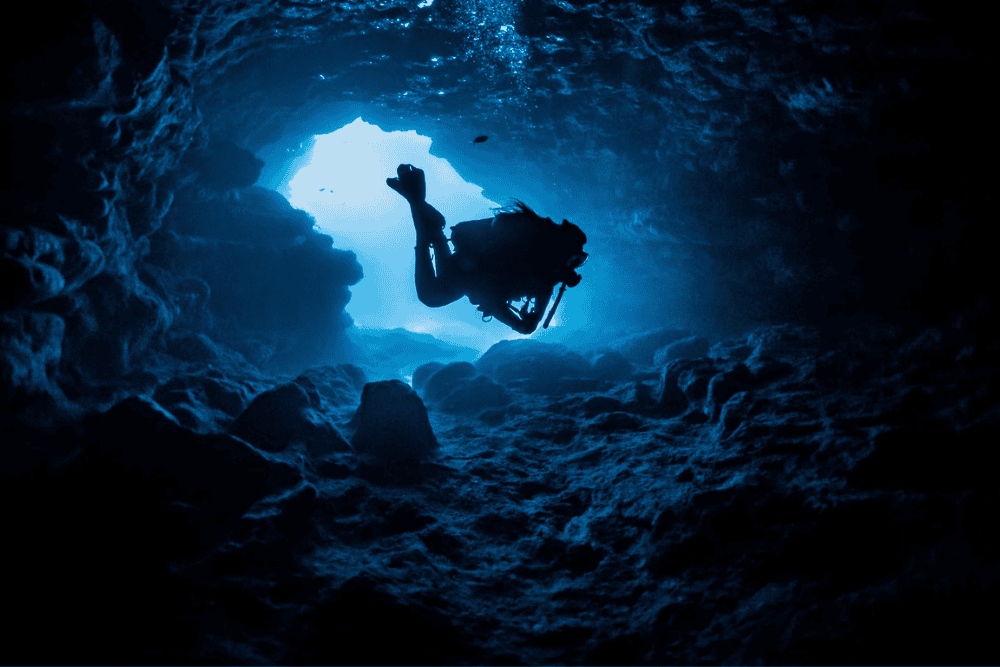 PADI Search and Recovery