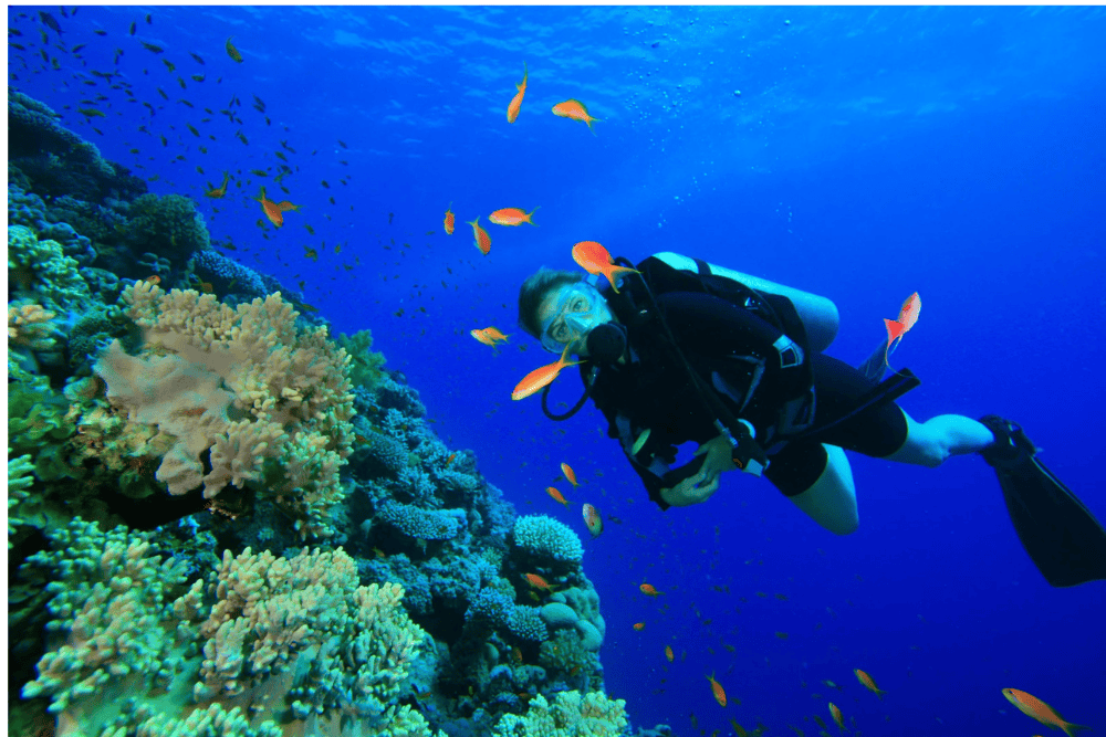 Expedition in Costa Rica