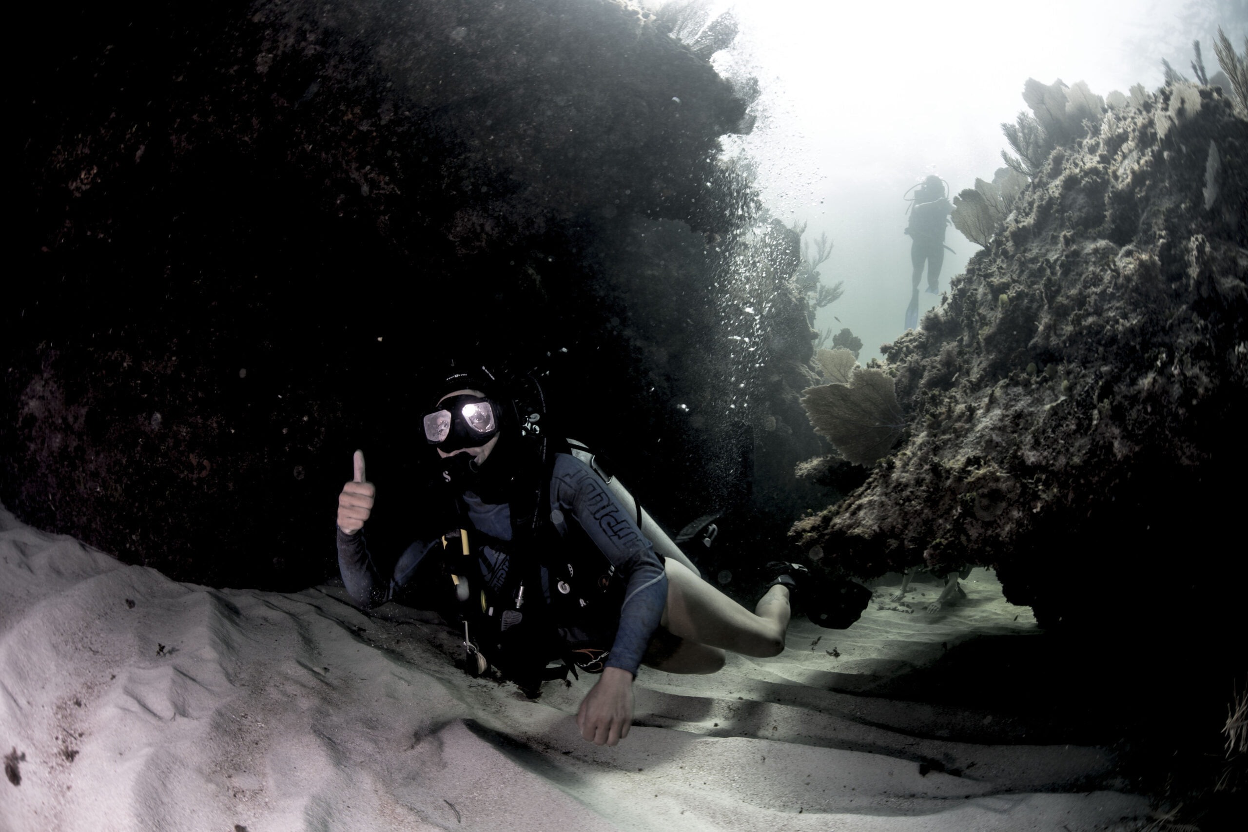 PADI Adventures in diving Cancun