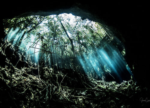 Curso buzo de cavernas en Mexico