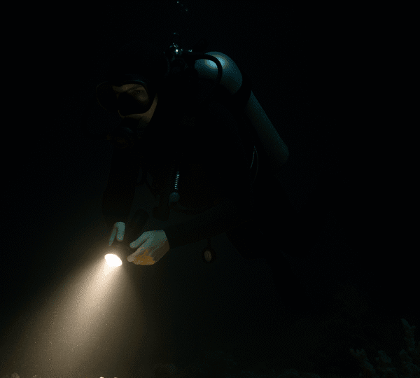 Night Diver