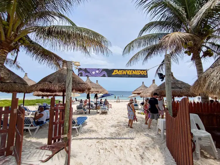 Diving Bar area in Puerto Morelos, Squalo Beach Club