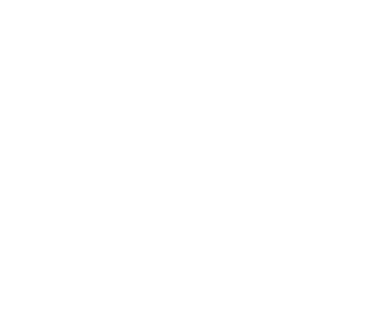 Beaconhouse international college logo