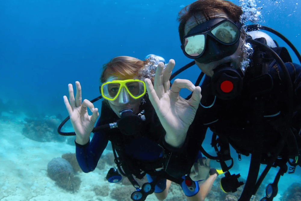 Buzo de Seguridad Publica PADI