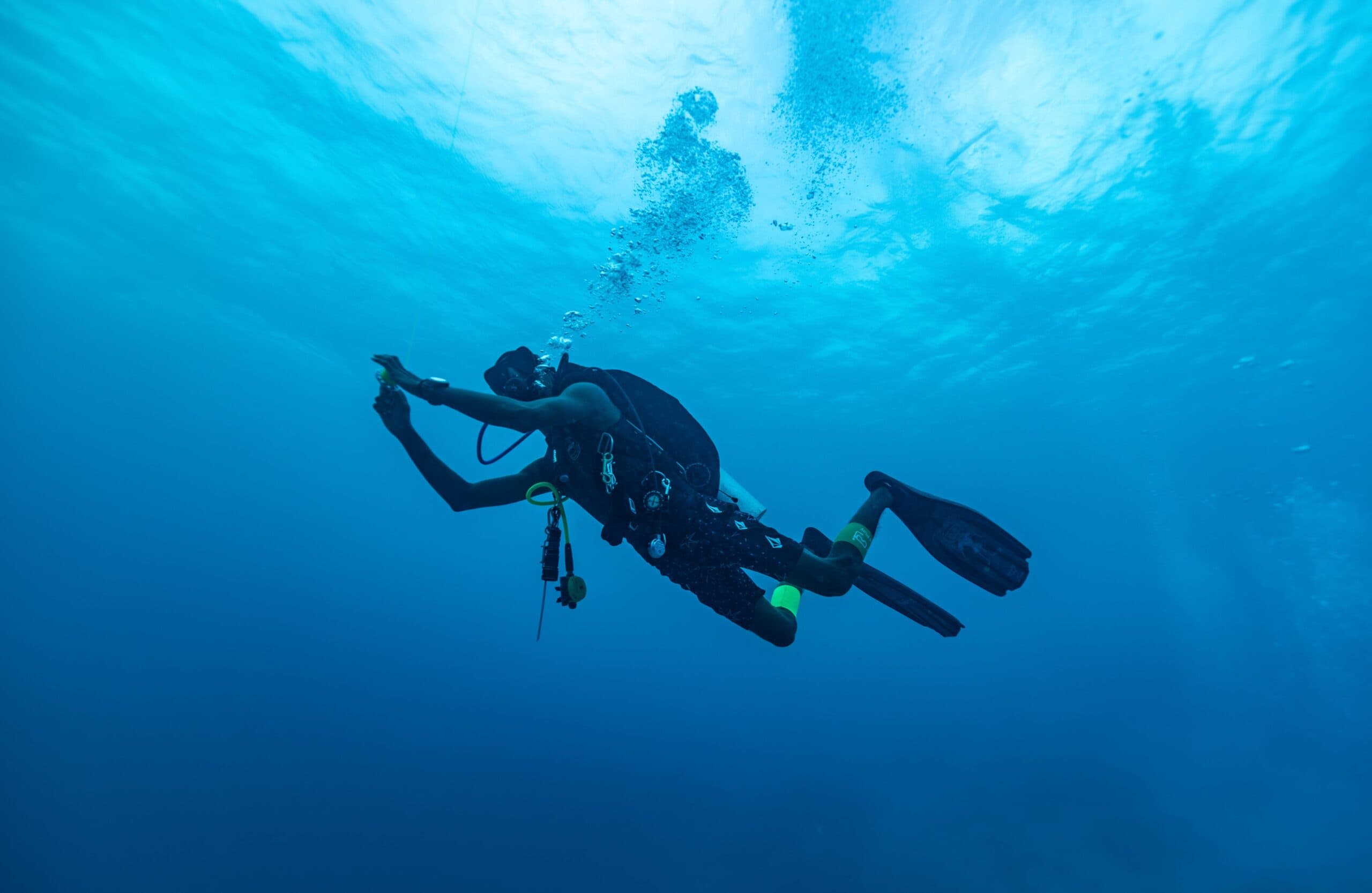 Dive into the Wonders of the Sea of Cortez