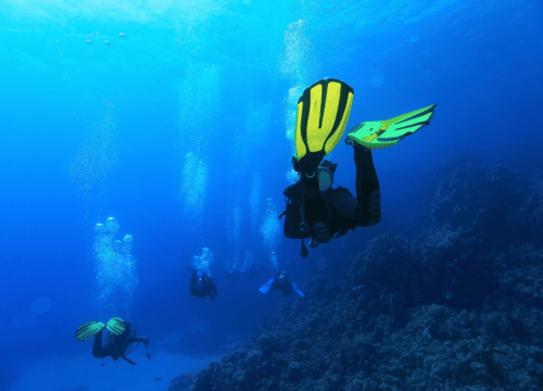 Cozumel Premium Dive Experience cancun Riviera Maya