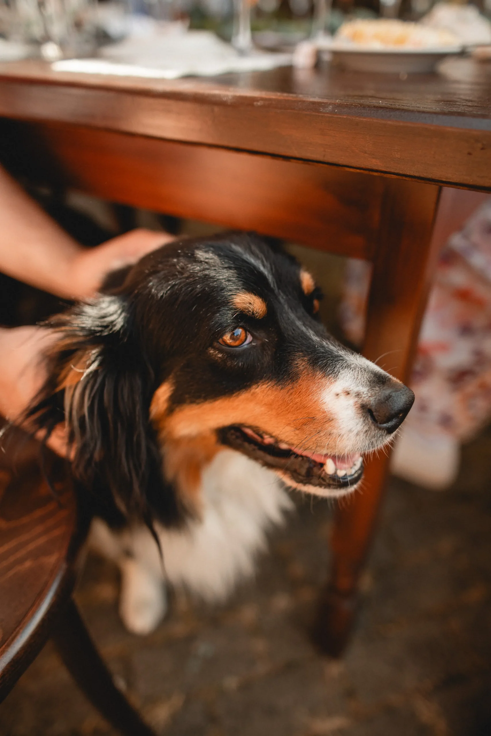 Statek Štědrý dvůr Svatební stodola jako místo Rakovník (34)