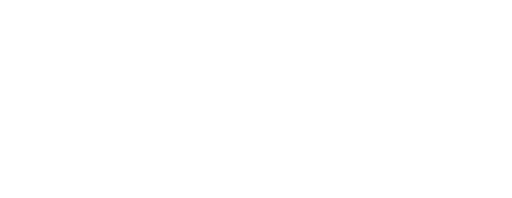 blois-logo