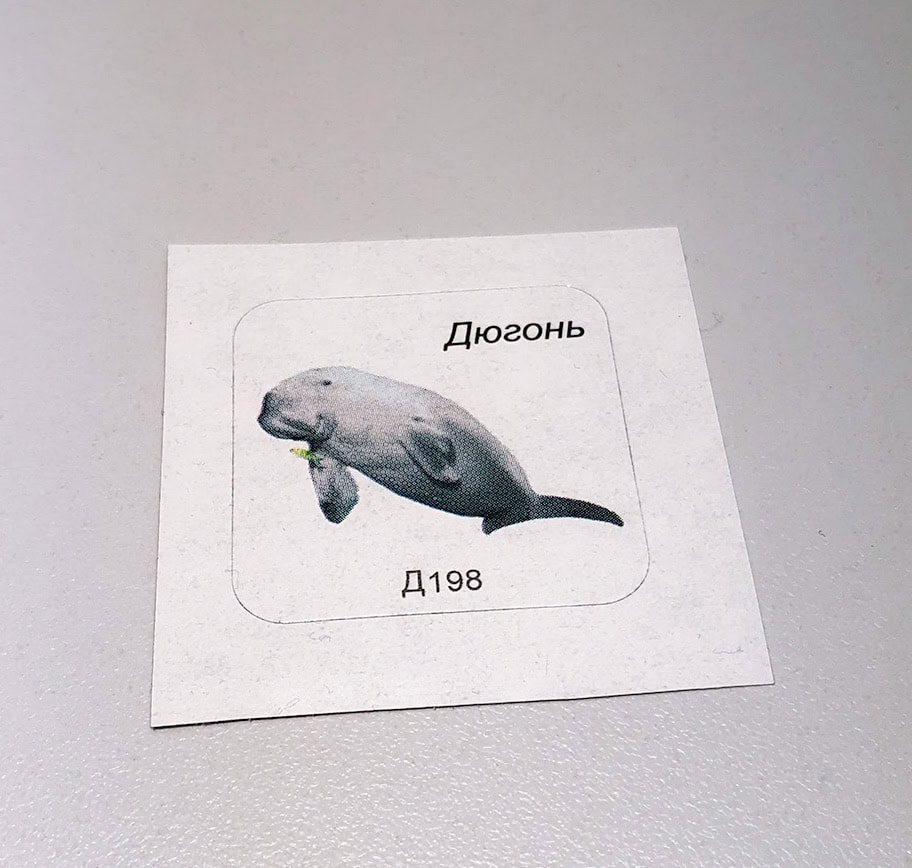 Превью 3