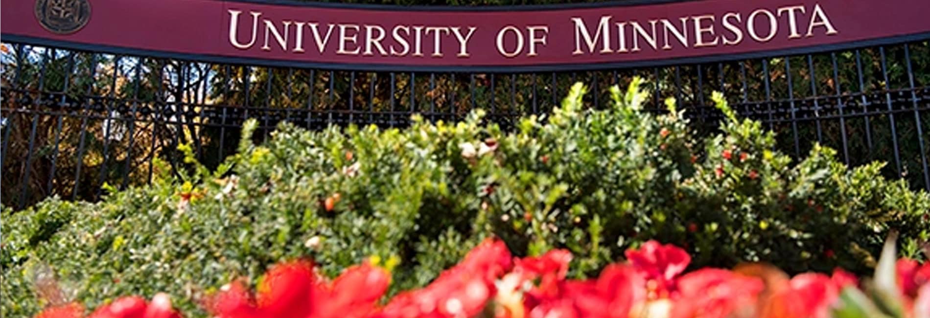 University of Minnesota fellowship