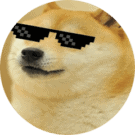 DogeBoy Avatar