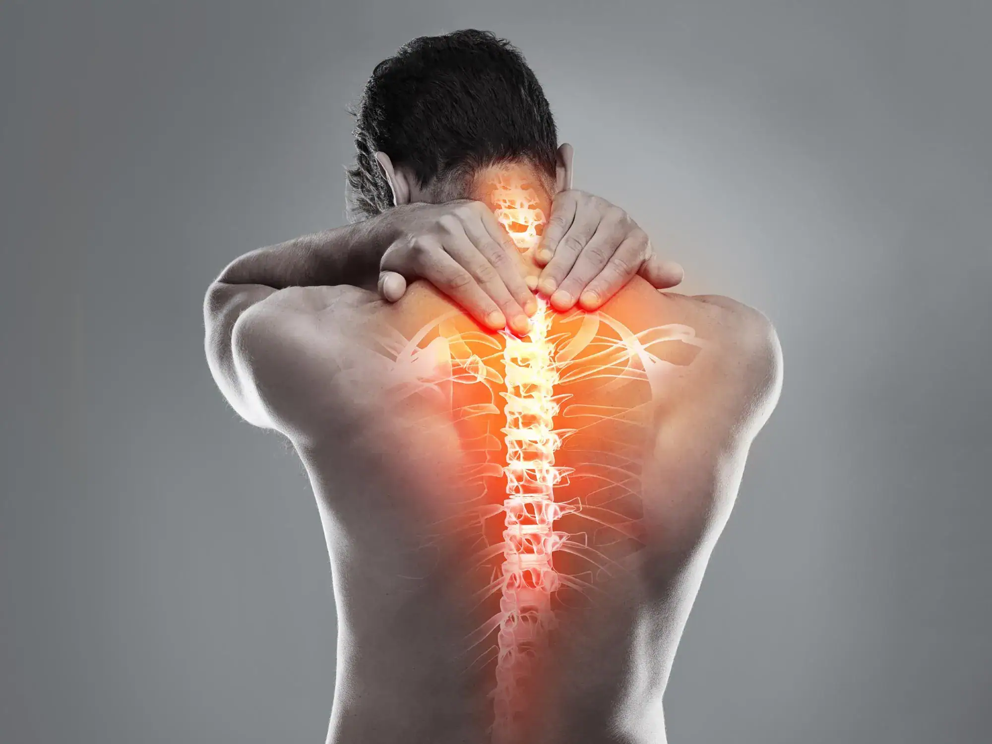 Spine and back pain therapy