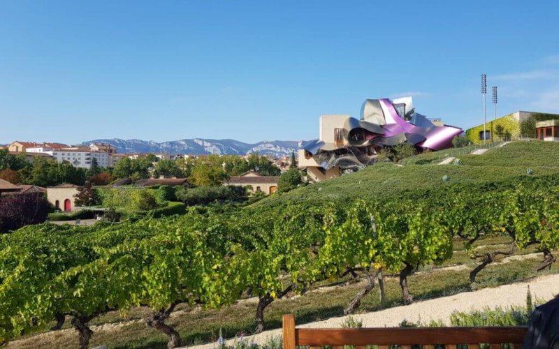 WhatsApp-Image-2022-03-16-at-1.20.39-PM-2-1-1024×768 Imagen de una mesa de tapas españolas con una botella de vino en primer plano. El texto sobreimpreso dice 'Sybarita Tours - Experiencia Enogastronómica - España' experience
