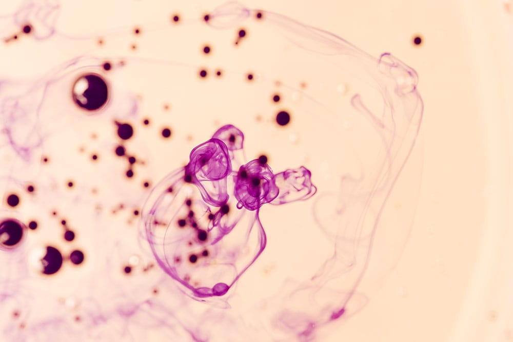 Hospital Regional de Talca alcanza 55 trasplantes de médula ósea y se proyecta como referente nacional en nuevas terapias