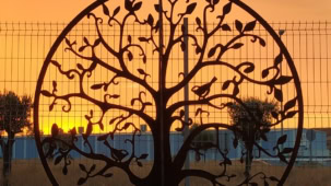 Árbol de la vida