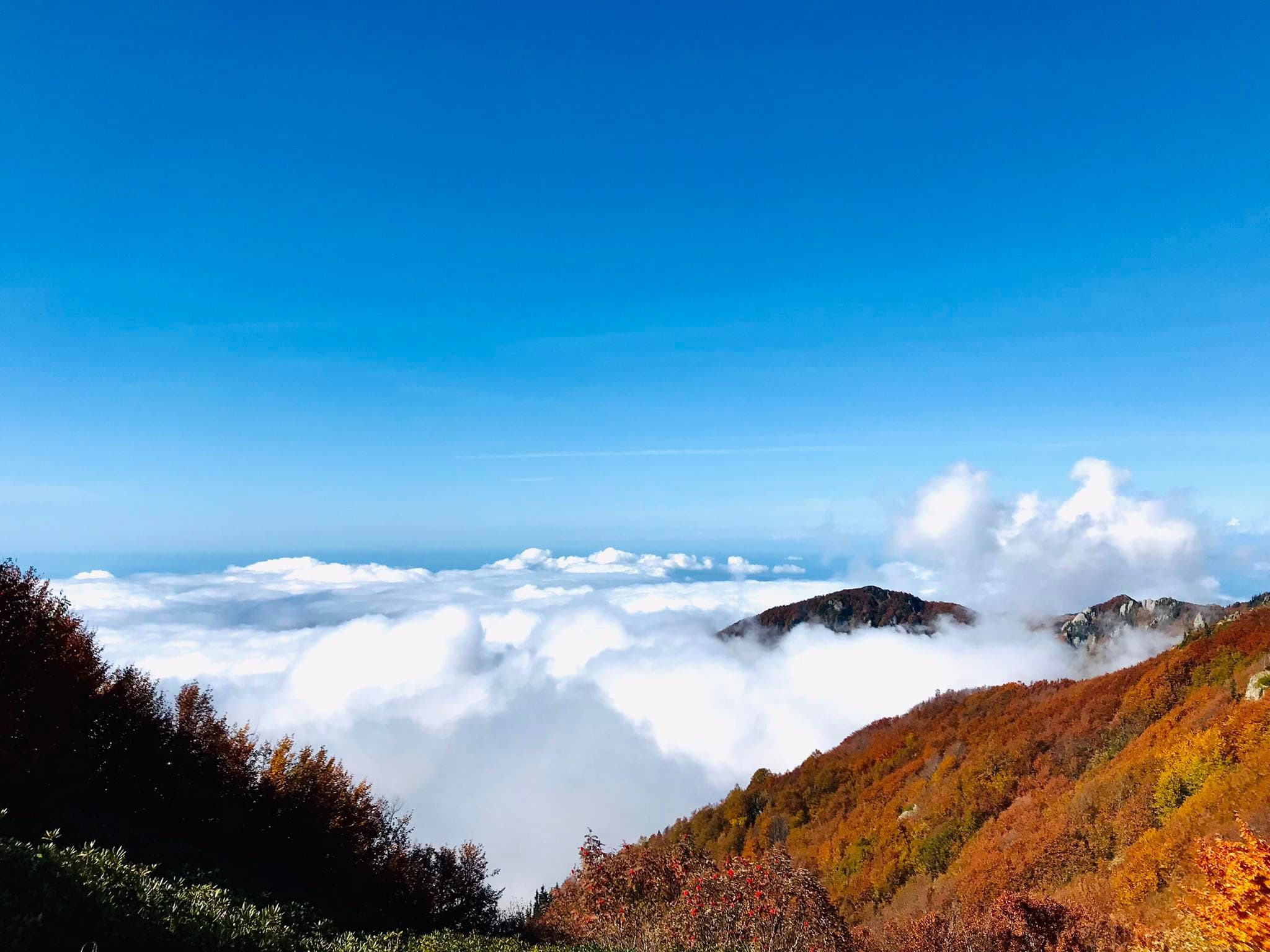The Kintrishi Protected Areas