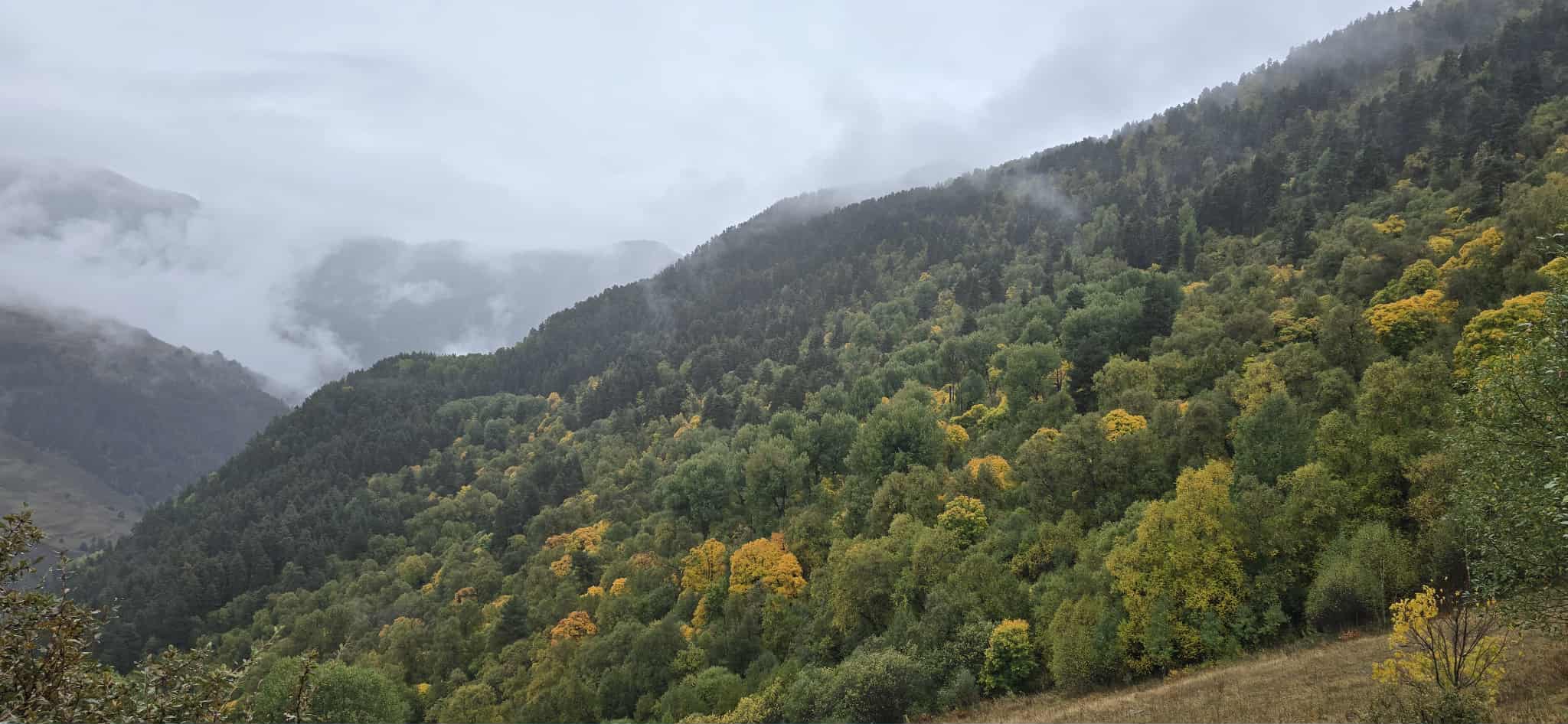 Tusheti National park