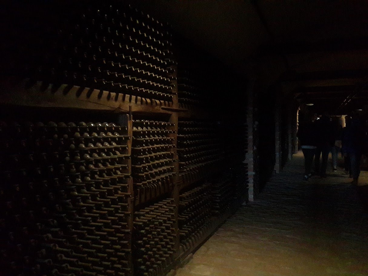 Kakheti Wonders: Castles, Mountains & Wine