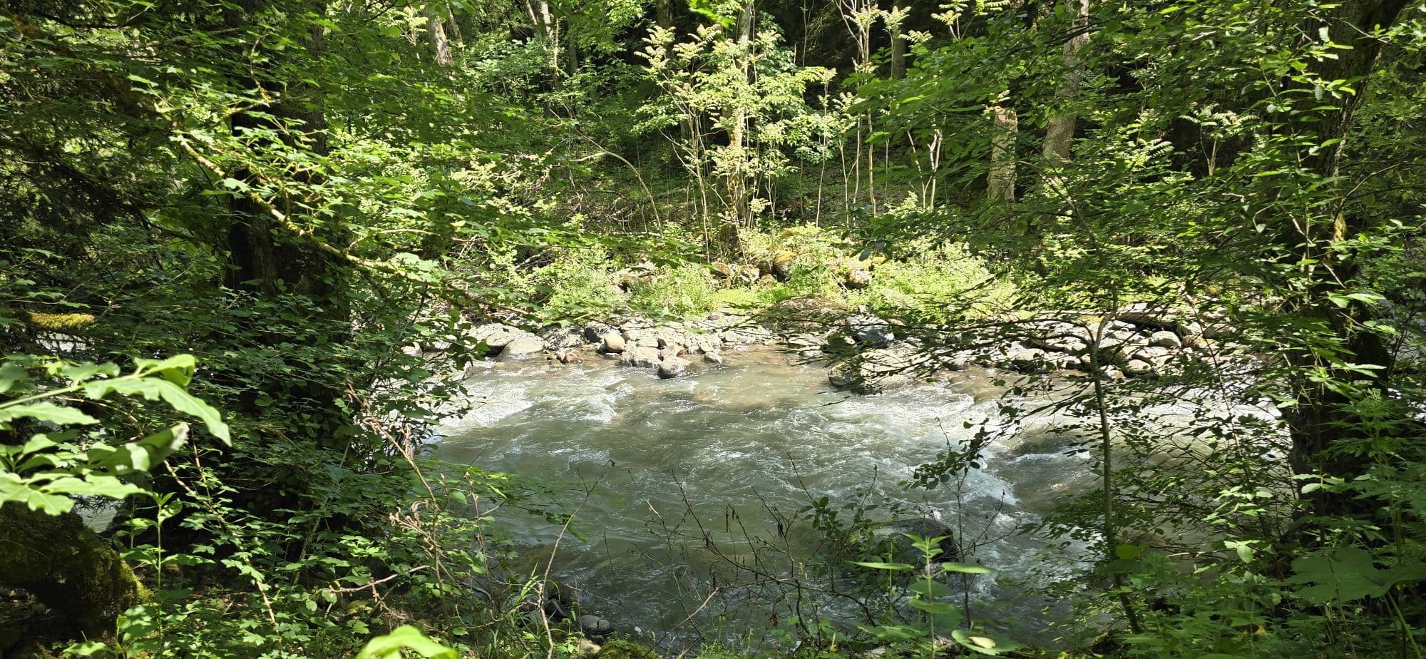 Borjomi park – sulphur baths