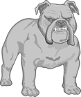 The Texas Bulldog