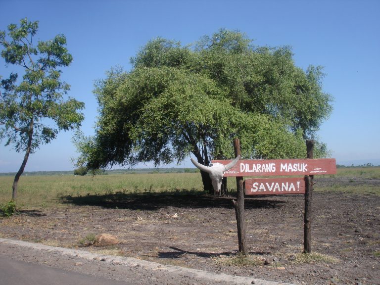 DSC00879
