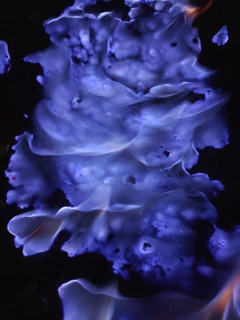 BLUE FIRE THALIA TRAVEL