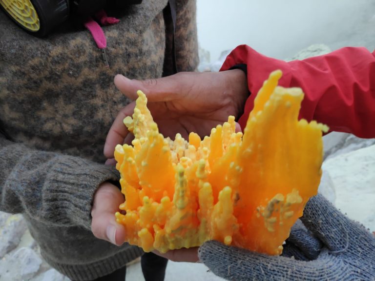 THALIA TRAVEL SULFUR