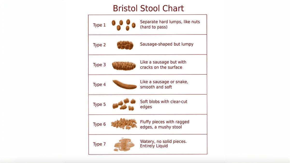 bristol-stool-chart