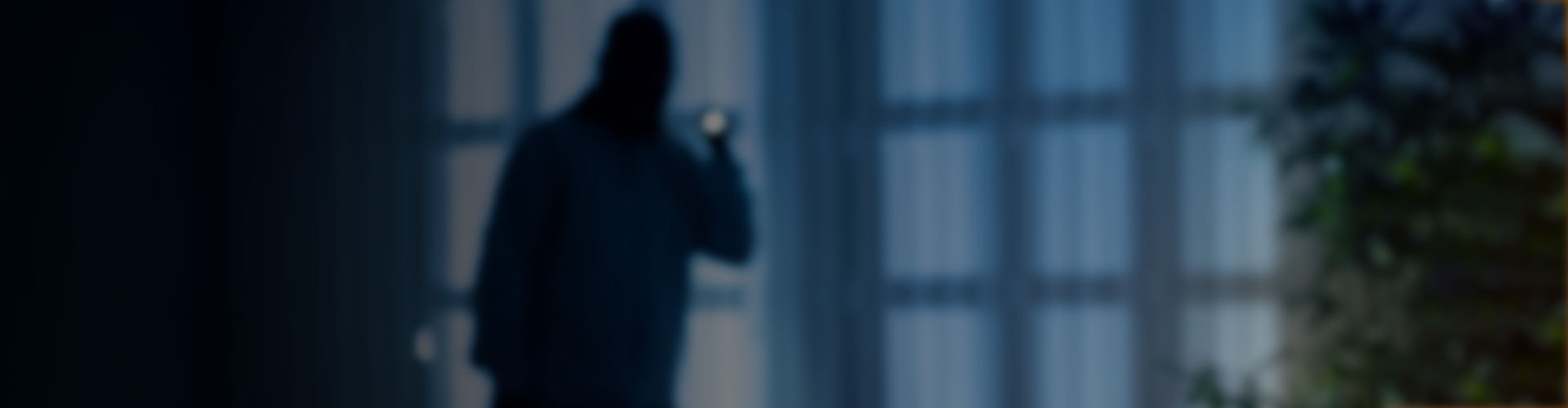 The Defenders - Theft Crimes