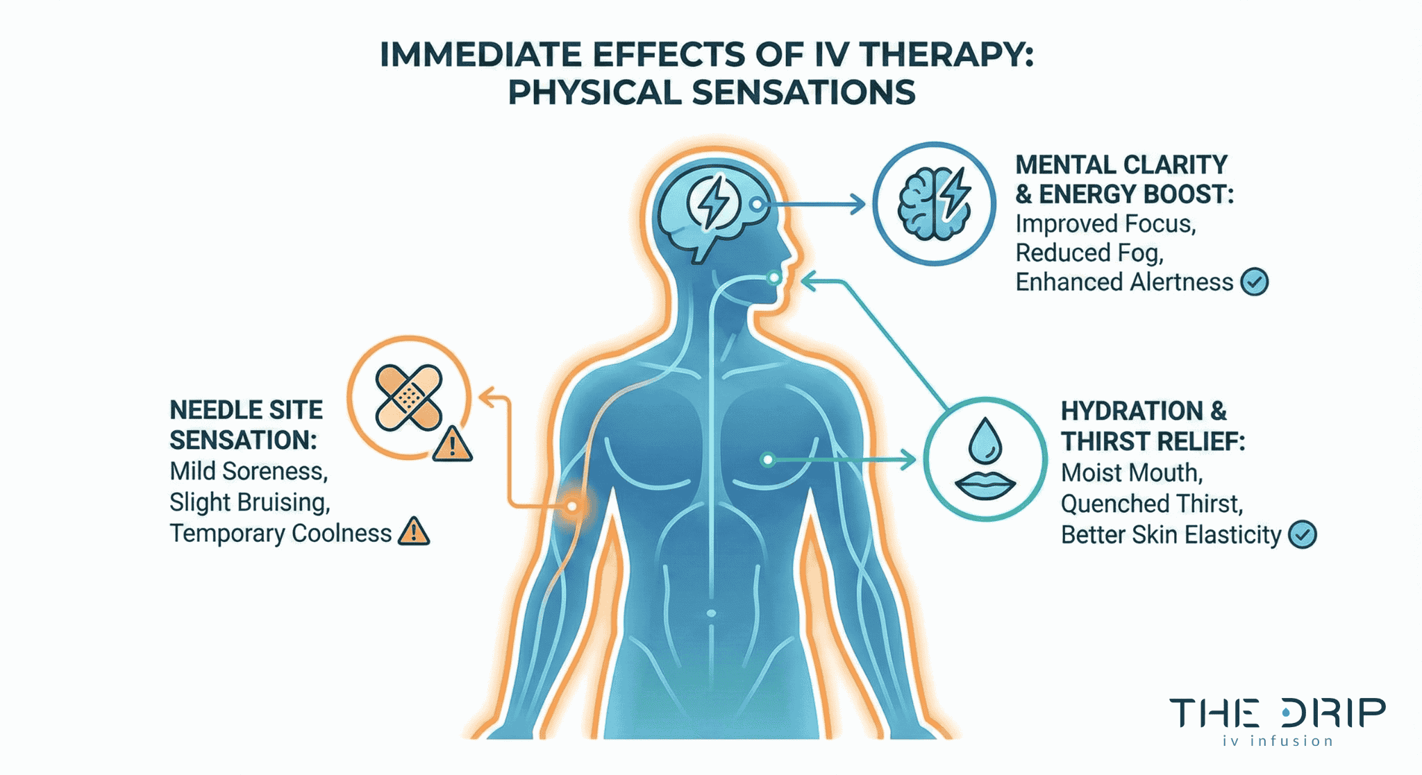 Infographic showing where hydration, energy, and soreness manifest after IV therapy.