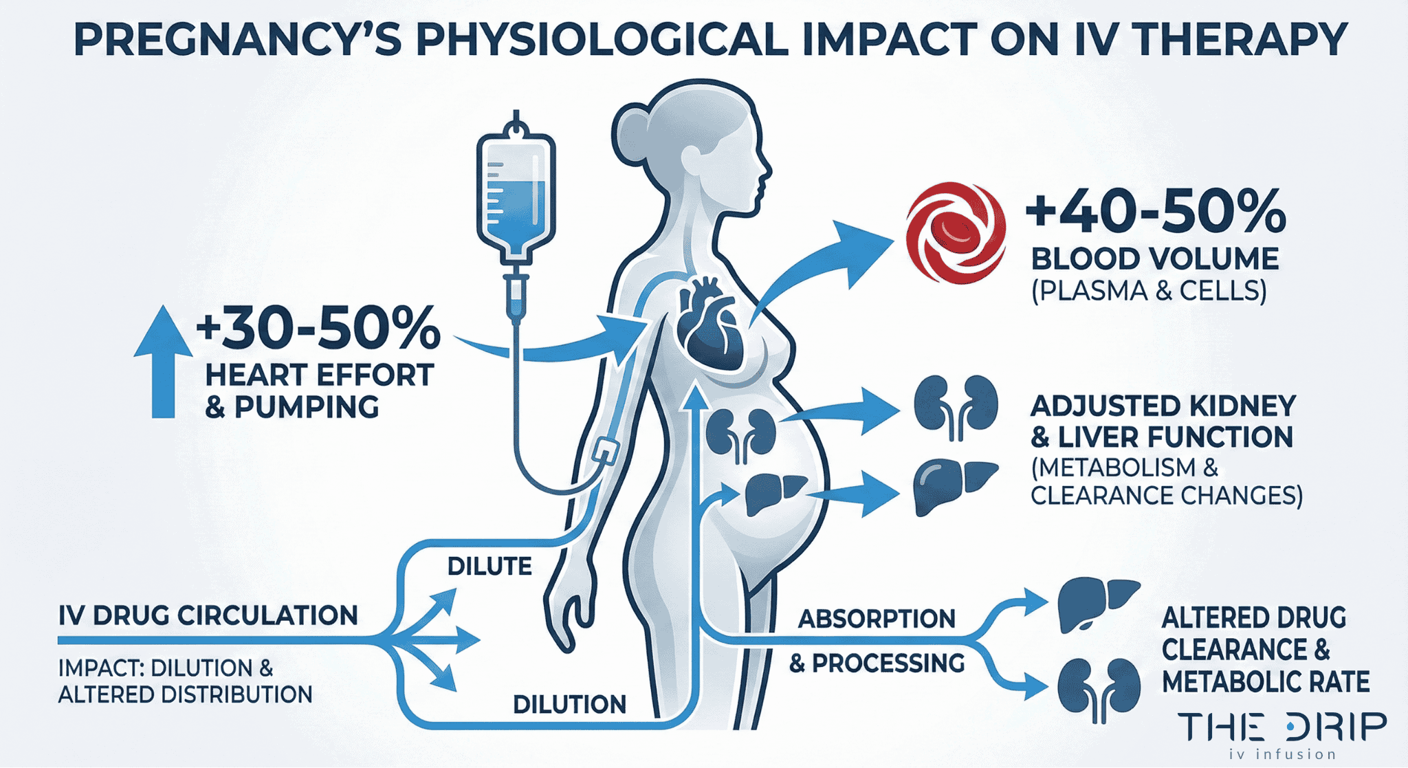 Diagram showing how pregnancy affects IV therapy with changes in blood volume, heart output, and kidney function.