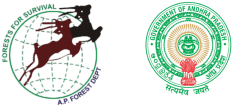 Logo 14