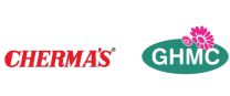 Logo 13