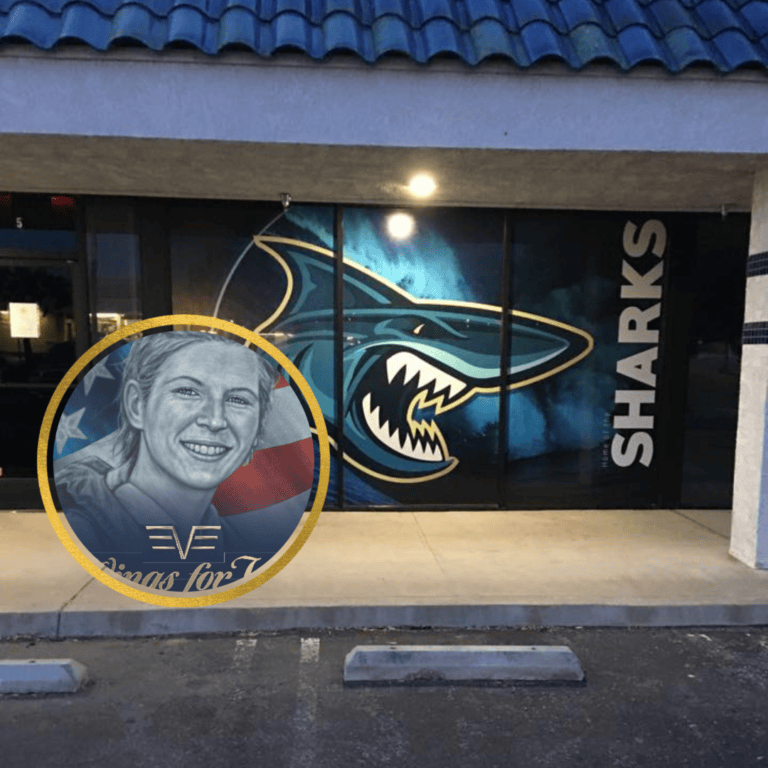 Wings for Val: Memoir of a Young Female Pilot