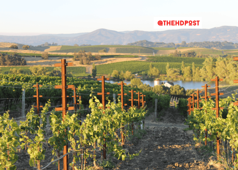 CA bill that could ban foreign governments from buying farmland passes Agriculture Committee