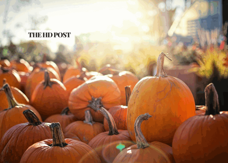 Harvest Festival and Haunted Hayride Returns to Mojave Narrows