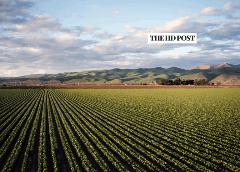 Newsom vetoes land access bill, delaying support for California’s small farmers