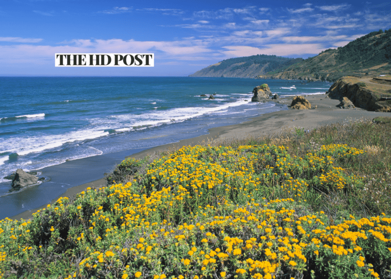 California lawmakers condemn Trump’s use of emergency powers for offshore drilling