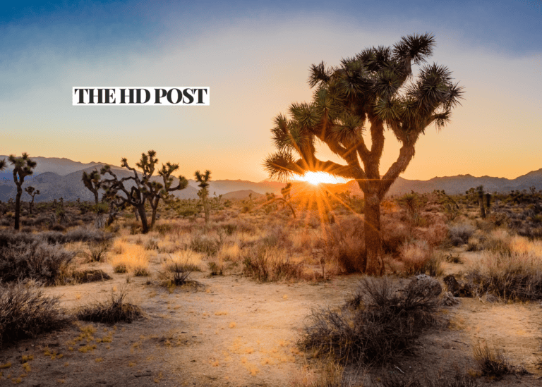 Hesperia launches photography contest highlighting Mojave River Valley