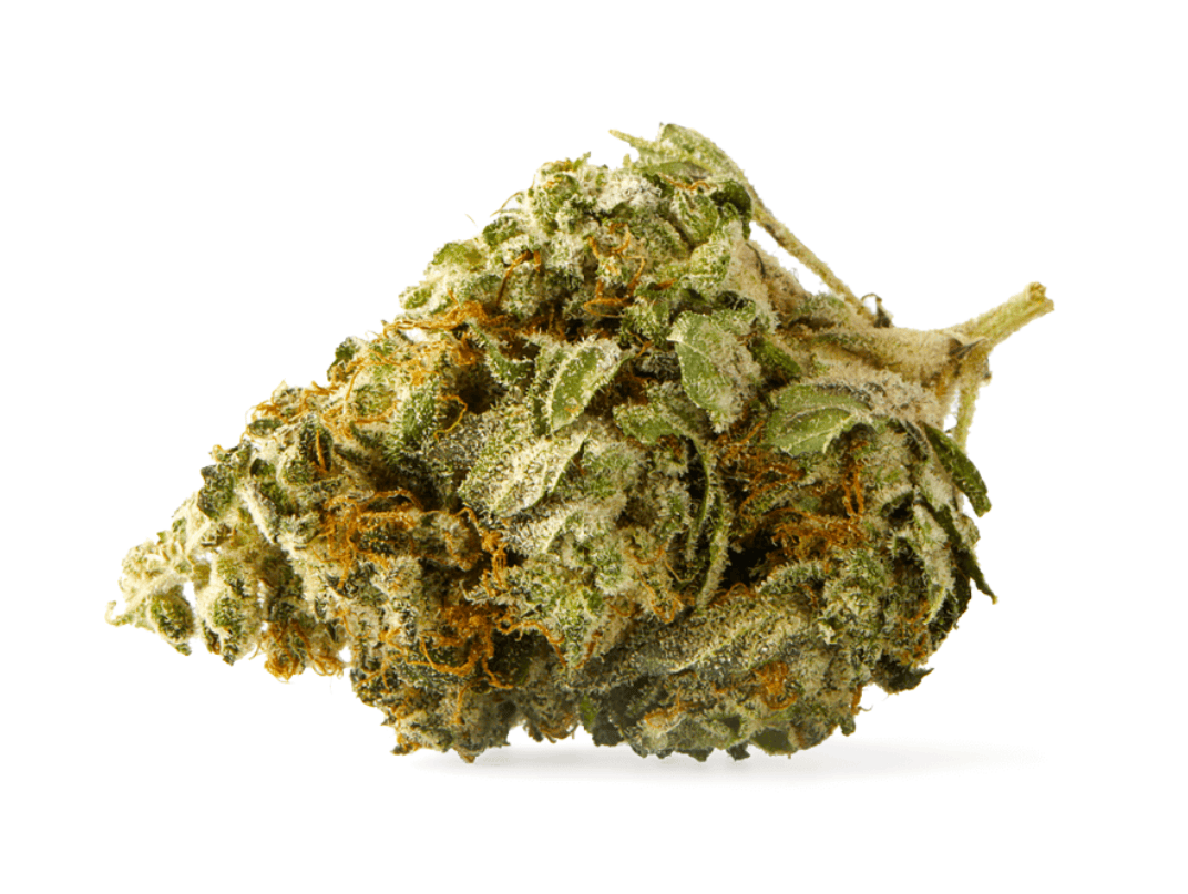 Strain Review: Sundial Citrus Punch